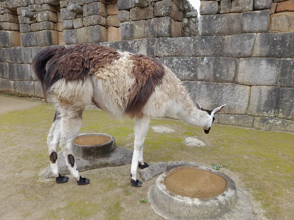 machu-picchu-holy-places
