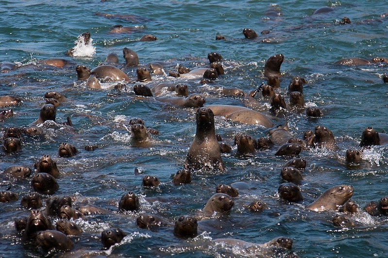 things-to-do-in-lima