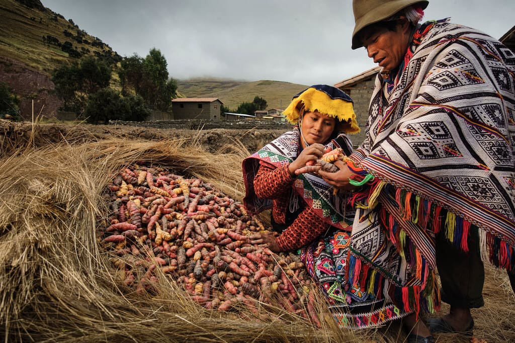 Tours: Potato Park Experiential Tour in Cusco