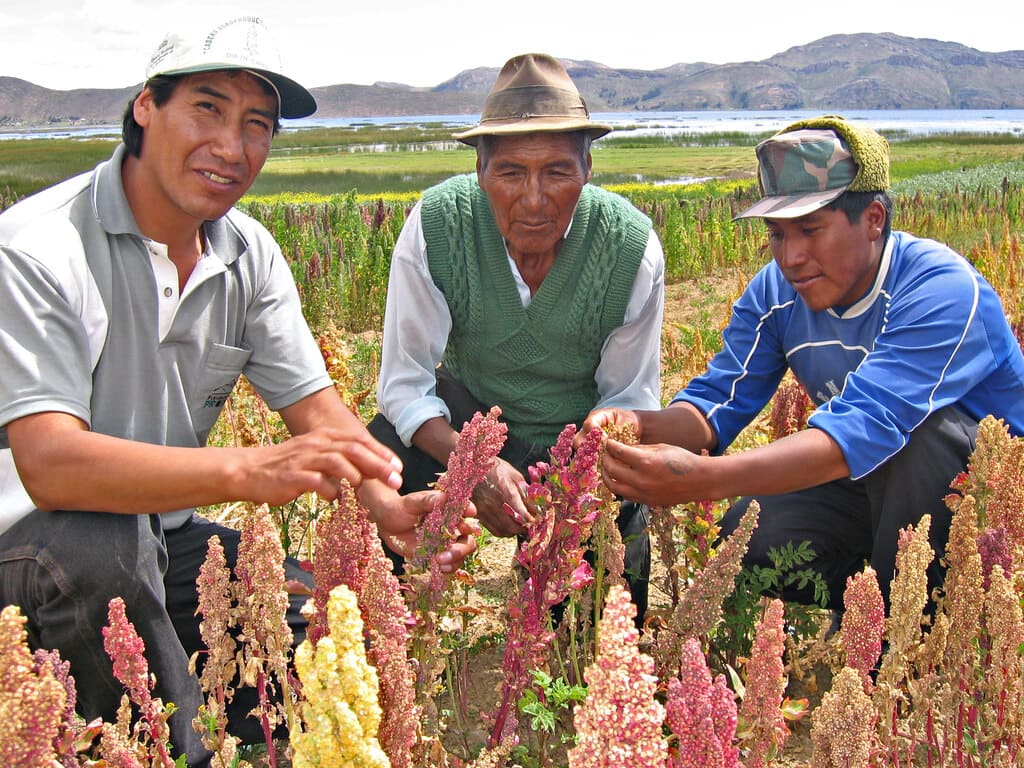 sacred-valley-living-traditions